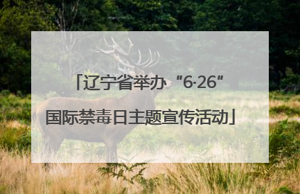 辽宁省举办“6·26”国际禁毒日主题宣传活动