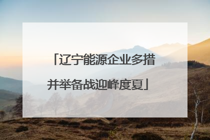 辽宁能源企业多措并举备战迎峰度夏