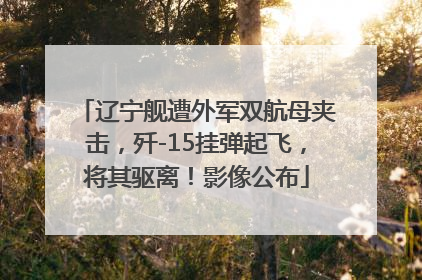辽宁舰遭外军双航母夹击，歼-15挂弹起飞，将其驱离！影像公布