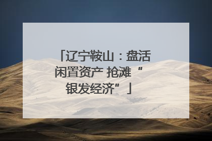 辽宁鞍山：盘活闲置资产 抢滩“银发经济”