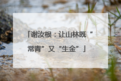 谢汝根：让山林既“常青”又“生金”