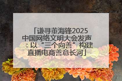 谦寻董海锋2025中国网络文明大会发声：以“三个向善”构建直播电商善意长河