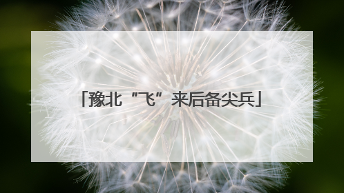 豫北“飞”来后备尖兵