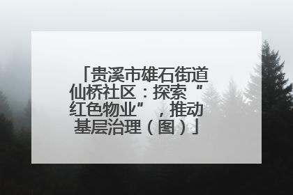 贵溪市雄石街道仙桥社区：探索“红色物业”，推动基层治理（图）