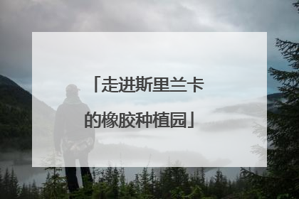 走进斯里兰卡的橡胶种植园