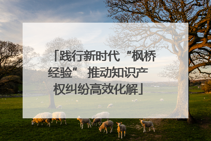 践行新时代“枫桥经验” 推动知识产权纠纷高效化解