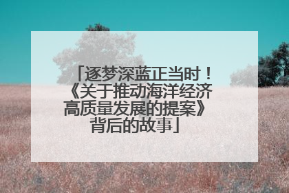 逐梦深蓝正当时！《关于推动海洋经济高质量发展的提案》背后的故事