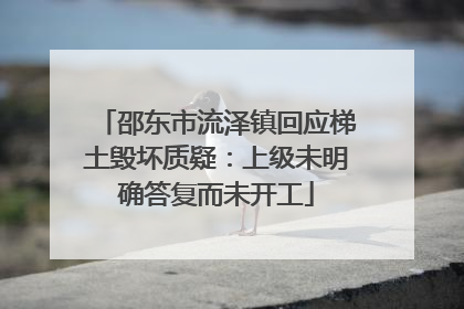 邵东市流泽镇回应梯土毁坏质疑：上级未明确答复而未开工