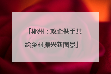 郴州：政企携手共绘乡村振兴新图景