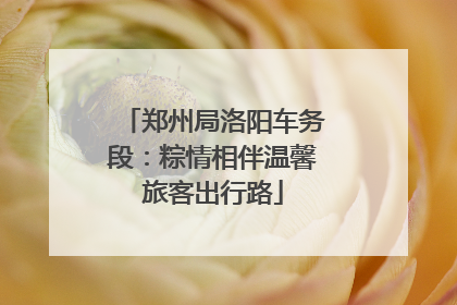 郑州局洛阳车务段：粽情相伴温馨旅客出行路