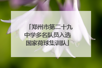 郑州市第二十九中学多名队员入选国家荷球集训队