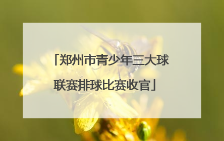 郑州市青少年三大球联赛排球比赛收官