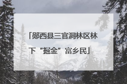 郧西县三官洞林区林下“掘金”富乡民