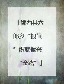 郧西县六郎乡“银茧”织就振兴“金路”