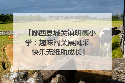 郧西县城关镇明德小学：趣味闯关展风采 快乐无纸助成长