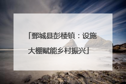 鄄城县彭楼镇：设施大棚赋能乡村振兴