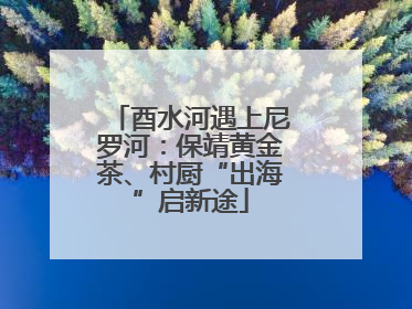 酉水河遇上尼罗河：保靖黄金茶、村厨“出海”启新途