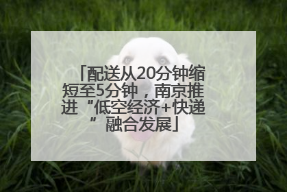 配送从20分钟缩短至5分钟，南京推进“低空经济+快递”融合发展