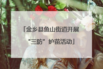金乡县鱼山街道开展“三防”护苗活动