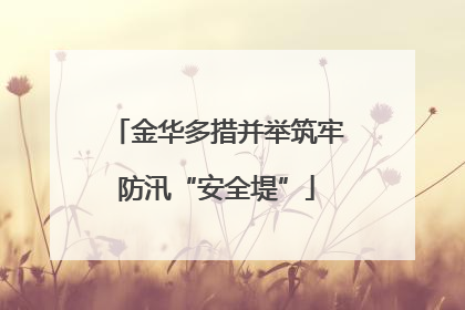 金华多措并举筑牢防汛“安全堤”