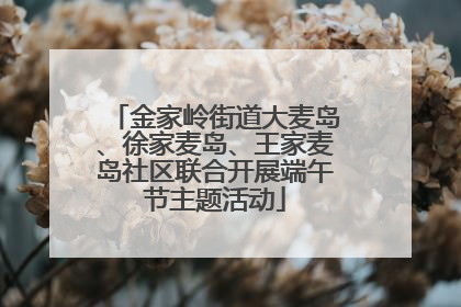 金家岭街道大麦岛、徐家麦岛、王家麦岛社区联合开展端午节主题活动