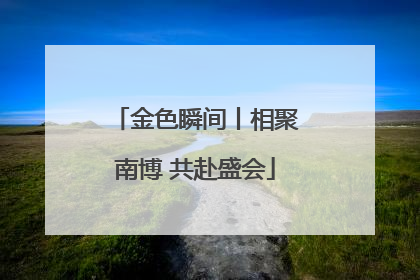 金色瞬间丨相聚南博 共赴盛会