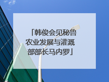 韩俊会见秘鲁农业发展与灌溉部部长马内罗