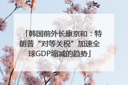 韩国前外长康京和：特朗普“对等关税”加速全球GDP缩减的趋势