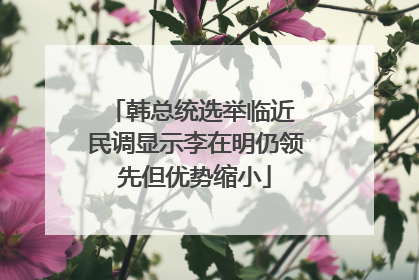 韩总统选举临近 民调显示李在明仍领先但优势缩小
