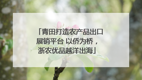 青田打造农产品出口展销平台 以侨为桥，浙农优品越洋出海