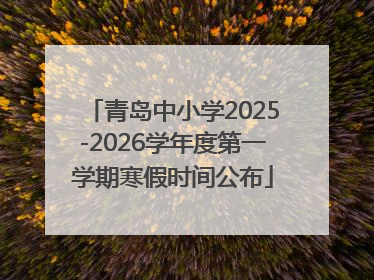 青岛中小学2025-2026学年度第一学期寒假时间公布