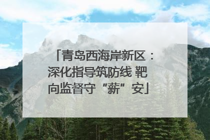 青岛西海岸新区：深化指导筑防线 靶向监督守“薪”安