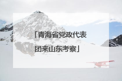 青海省党政代表团来山东考察