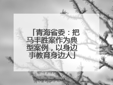 青海省委：把马丰胜案作为典型案例，以身边事教育身边人