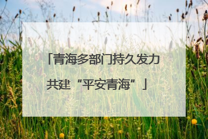 青海多部门持久发力共建“平安青海”