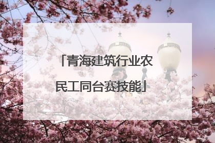 青海建筑行业农民工同台赛技能