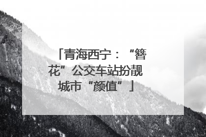 青海西宁：“簪花”公交车站扮靓城市“颜值”