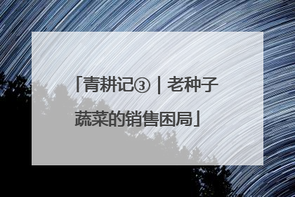青耕记③｜老种子蔬菜的销售困局
