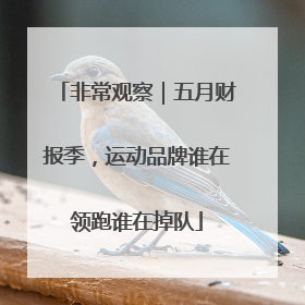 非常观察｜五月财报季，运动品牌谁在领跑谁在掉队