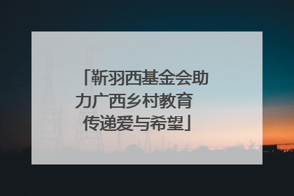 靳羽西基金会助力广西乡村教育 传递爱与希望