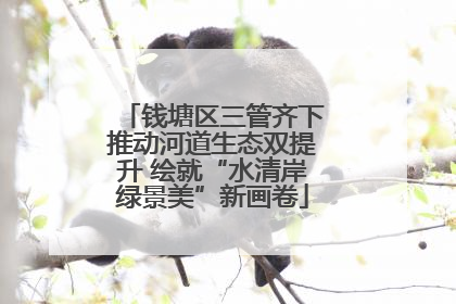 钱塘区三管齐下推动河道生态双提升 绘就“水清岸绿景美”新画卷