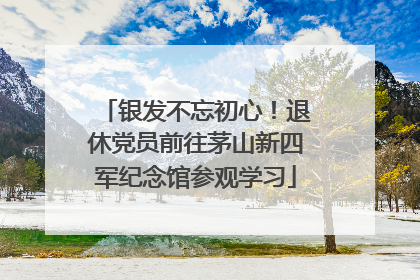 银发不忘初心！退休党员前往茅山新四军纪念馆参观学习