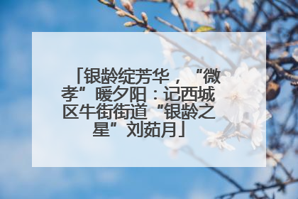 银龄绽芳华，“微孝”暖夕阳：记西城区牛街街道“银龄之星”刘茹月