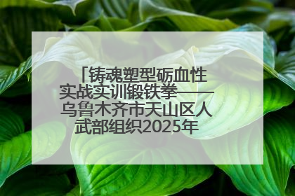 铸魂塑型砺血性 实战实训锻铁拳——乌鲁木齐市天山区人武部组织2025年度民兵集中轮训