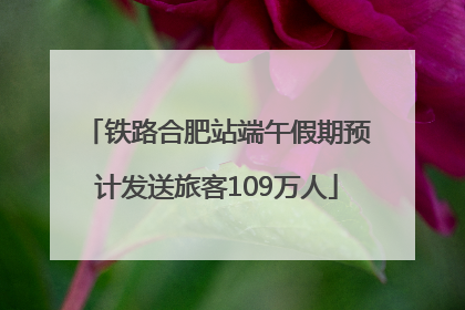 铁路合肥站端午假期预计发送旅客109万人