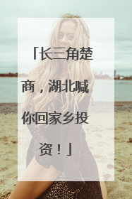 长三角楚商，湖北喊你回家乡投资！