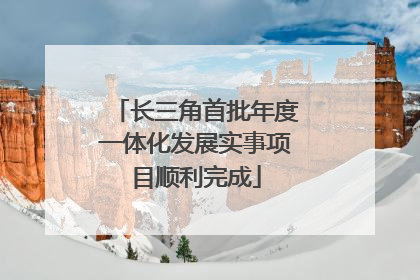 长三角首批年度一体化发展实事项目顺利完成