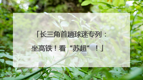 长三角首趟球迷专列：坐高铁！看“苏超”！