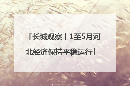 长城观察丨1至5月河北经济保持平稳运行