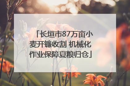长垣市87万亩小麦开镰收割 机械化作业保障夏粮归仓